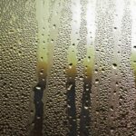 condensation on glass