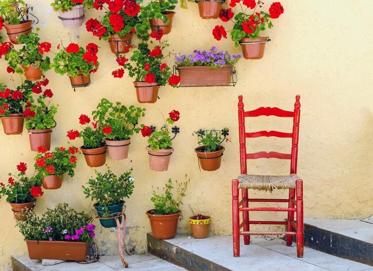 Container plants flourish in a stunning display on this exterior wall.