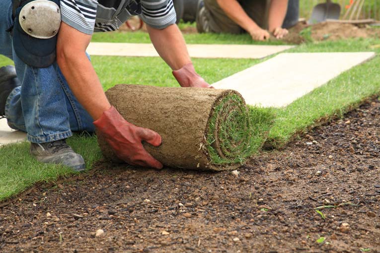 installing sod lawn