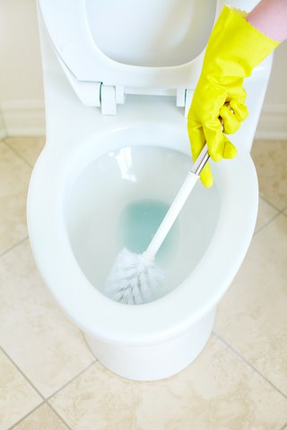 brush cleaning toilet