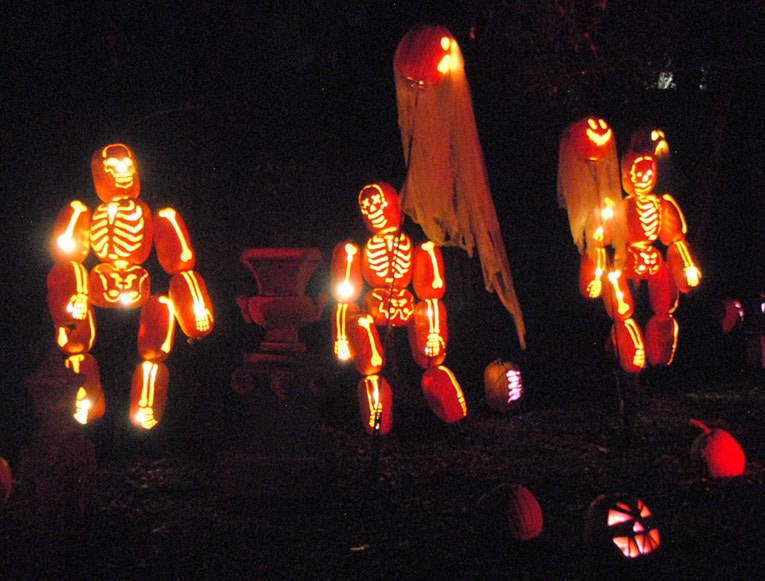 carved skeleton pumpkins