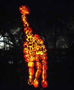 pumpkins make giraffe