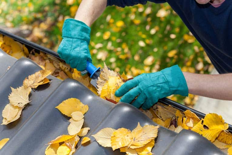 Cleaning gutters with trowel and gloves