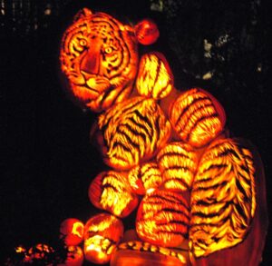 Tiger created from carved pumpkins