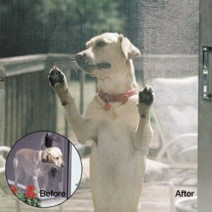 Dog with paws up on a pet-resistant sliding door screen.