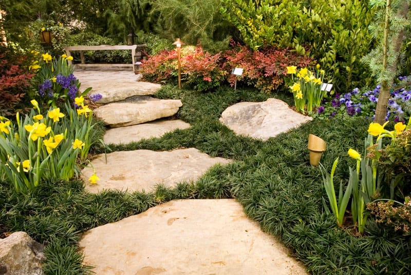 Giant flagstone steps passing through ground cover and flowers.