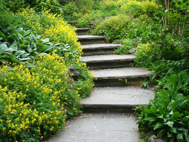 Smooth-cut flagstone stairs leading through a lush garden.