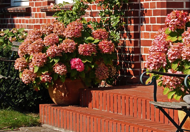 Brick entrance stairs outside a home.