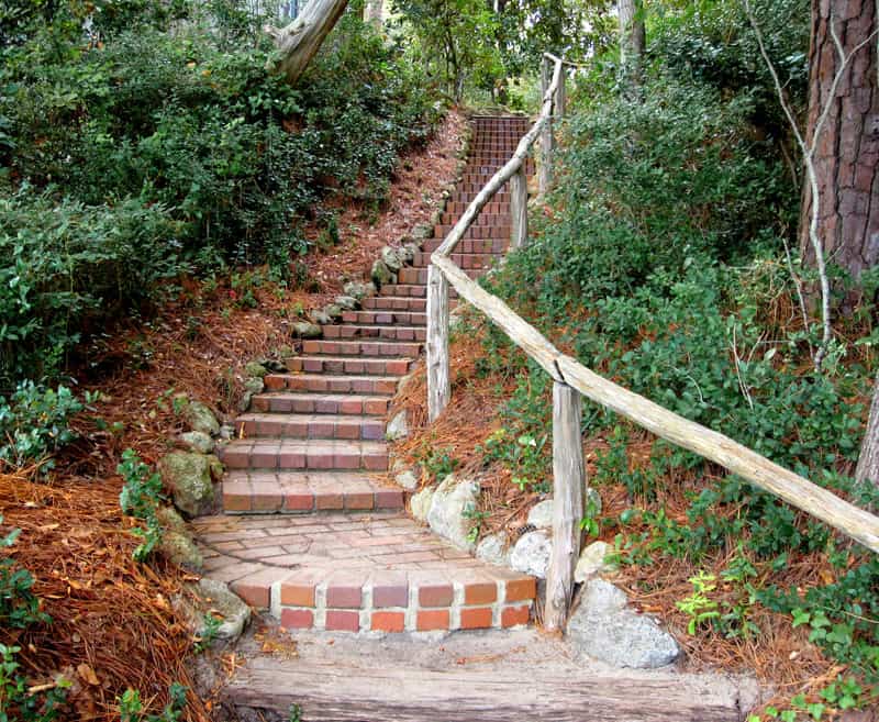 A brick staircase in a forested area.