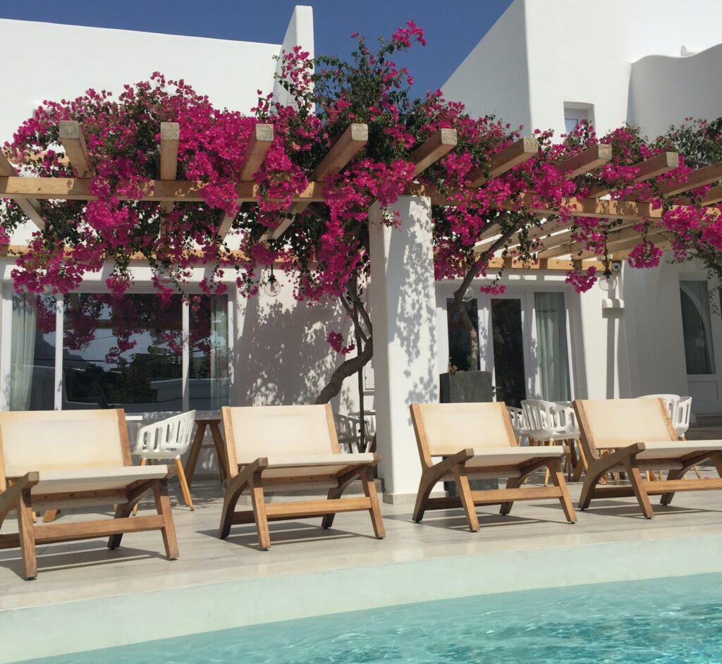 pergola that serves as a support for vining bougainvillea