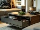 Wooden coffee table with storage for a clutter free space.